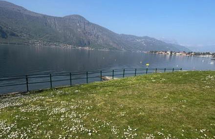 JungleHouse - Foto 18