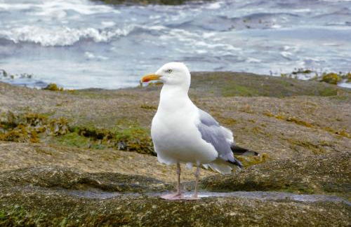 TY MAGARI - Photo 18