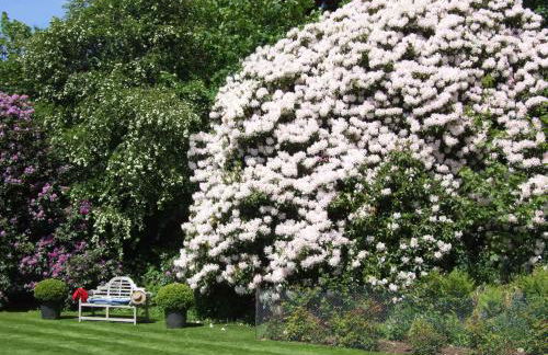 Kinloch House Hotel - Foto 16