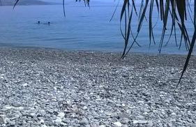 Cozy Apollon Villa, Sea View, Next To Galaxidi - Photo 39