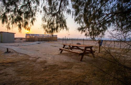 Desert Gem - Foto 30