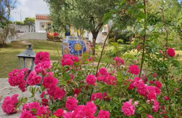 Sondela Self Catering - Foto 59