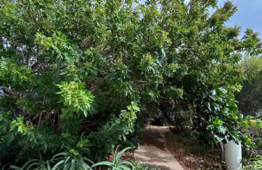 Apartamentos y Habitaciones Villa Marina - Foto 51