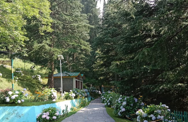 Eva Cabins - Photo 19