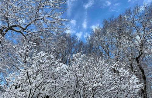 Journeys End Chalet - Minutes to Jay Peak! - Foto 20