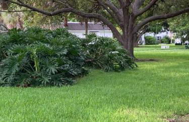 Golf Coast Charmer - Foto 32