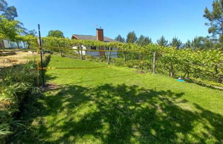 Quinta Vista do Vale - Foto 18