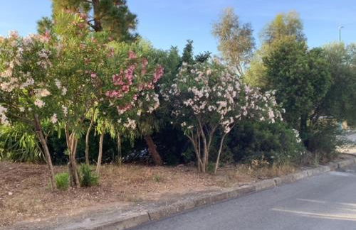 BenitiKe House - Foto 49