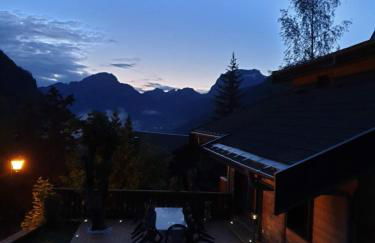 Chalet le Petit Ramoneur - Foto 20