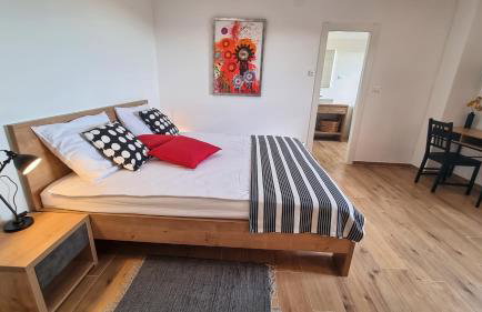 Kuća Roža - Dolinci - Foto 31