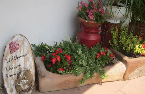 Ferienhaus Hubhof - Foto 9