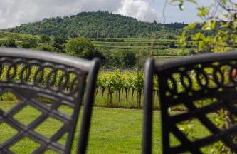 Wilde Hilde - Foto 1