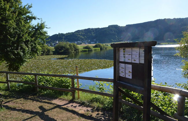Cosy Apartment With Terrace in Meisburg - Photo 41