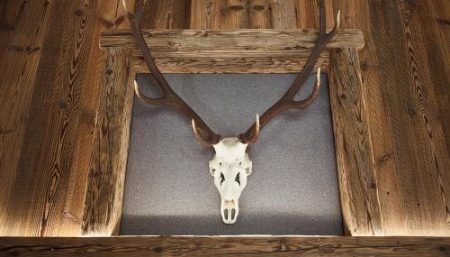 Dreisessel-Chalets im bayerischen Wald - Chalet Hochstein - mit Whirlpool-Sauna-Kamin - Foto 4