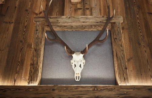 Dreisessel-Chalets im bayerischen Wald - Chalet Hochstein - mit Whirlpool-Sauna-Kamin - Foto 4