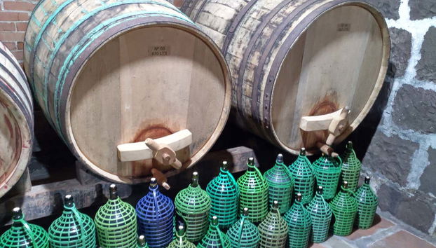 Disfrutando del tour