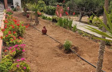 House of Polymnia - Photo 58