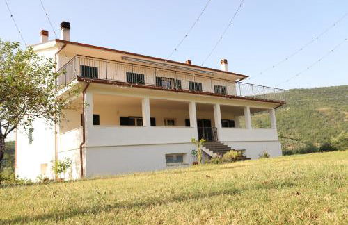 Azienda Agricola Sebastiani - Foto 6