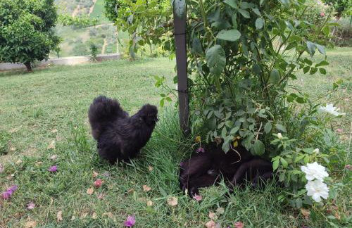 La Casa Di Stefania - Foto 34