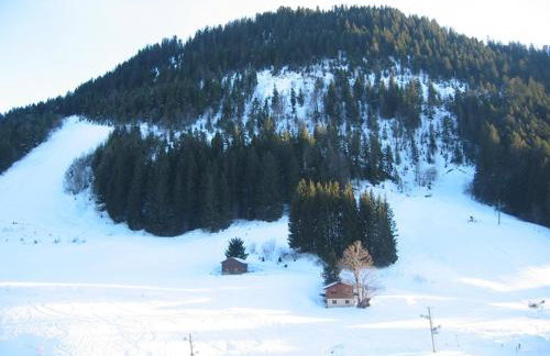 Studio 25m² au pied des montagnes, balcon, idéal pour 4 pers - FR-1-573-95 - Foto 4