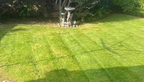 2 Bed Bungalow - Sleeps 4 - Pets - Parking - Wifi - Foto 2, Garden