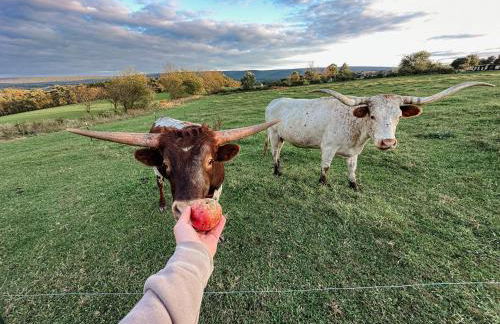 ‘Scenic Escapes’ Romantic Pine Grove Getaway! - Foto 16