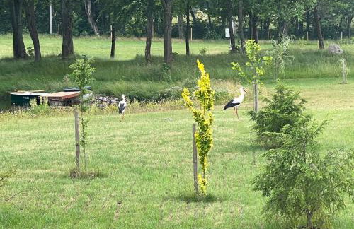 Komfortowy domek z kominkiem - Foto 7