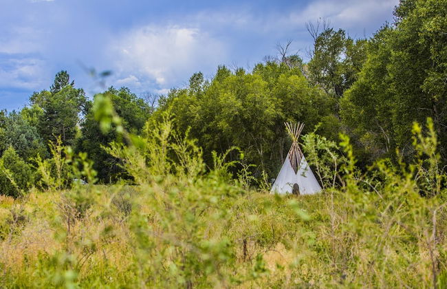Taos Goji Farm & Eco-Lodge Retreat - Foto 40