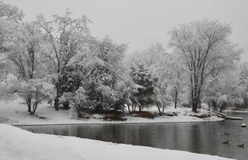 Yosemite family getaway w lake, golf, horses, pool - Foto 40