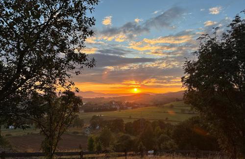 Jarzębinowe Wzgórze - Foto 21