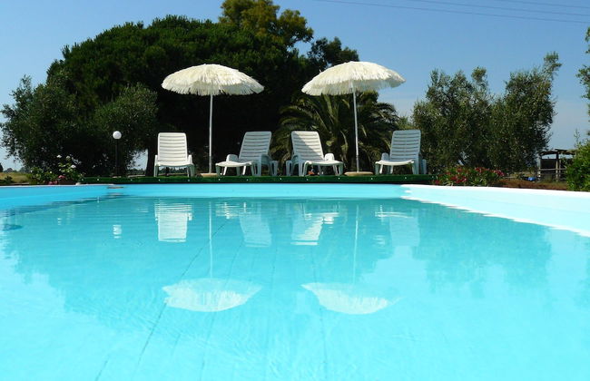 La Mimosa - Photo 36