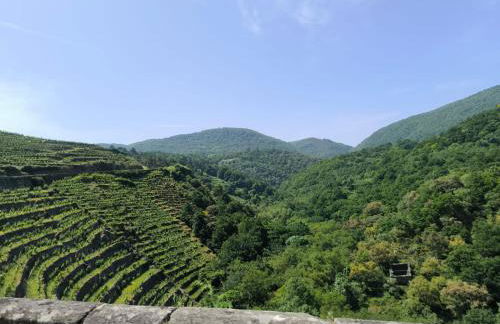 Casa Sindo - Foto 31