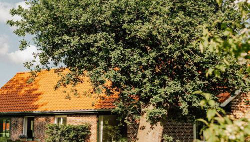 Modern Holiday Home With Charm And Swimming Pond - Foto 5