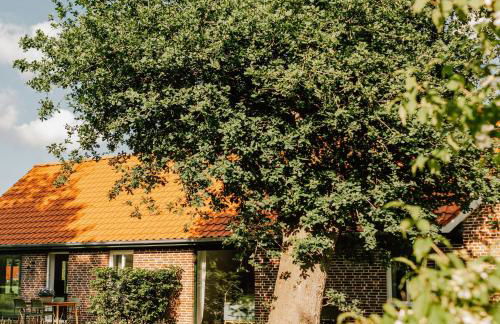 Modern Holiday Home With Charm And Swimming Pond - Foto 5