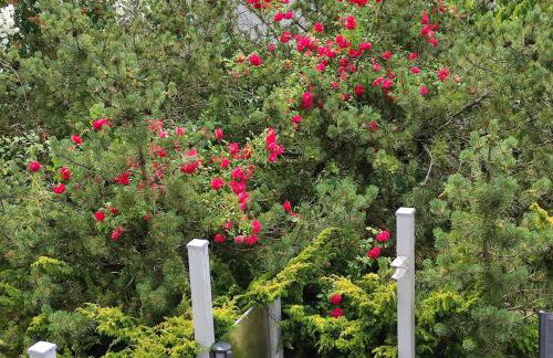 Anette's nettes Dachjuchhe - Foto 33