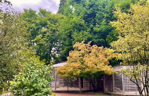 -Am Pfühlpark- Ferienwohnung - Foto 43