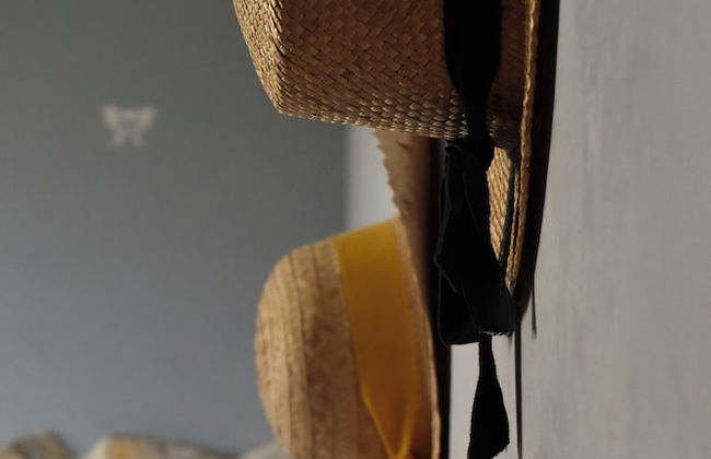 Fattoria Sant'Appiano - Foto 77