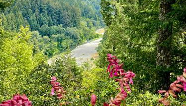 Avenue of the Giants River View Home (#1) - Foto 2