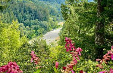 Avenue of the Giants River View Home (#1) - Foto 2