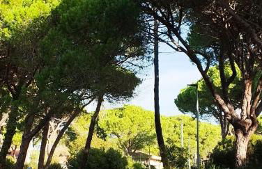 Casa Ricciola - Foto 9