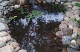 Casa do Adro-Passadiços do Paiva Arouca - Foto 47