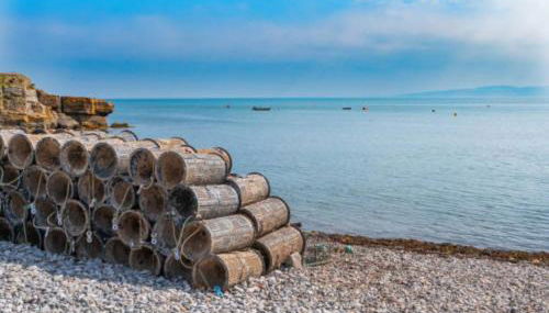 Heulwen - Moelfre - Photo 5