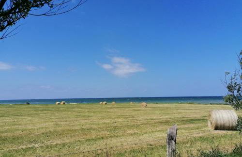 Hof am Meer "Seestern" - Foto 45