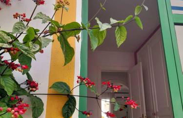 Morning Sun Apartment 229 - Foto 24