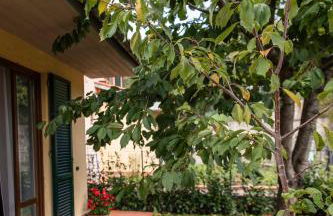 La Casina del Salice - Foto 20