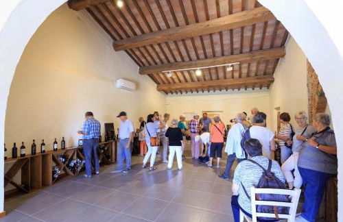 Agriturismo Streda Wine & Country Holiday - Foto 126