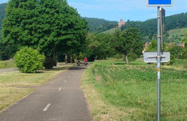 Gîte Le Marronnier, parking et terrasse au calme, entre Colmar-Riquewihr et Obernai, vue sur espaces verts et coteaux d Alsace, route du vin-châteaux - Foto 78