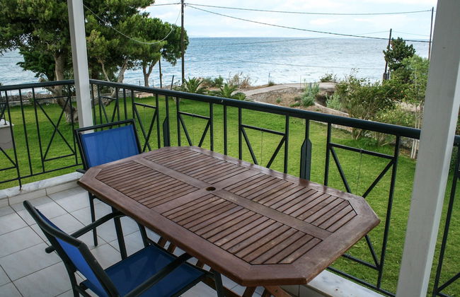 Punda 4 Seasons - Foto 32