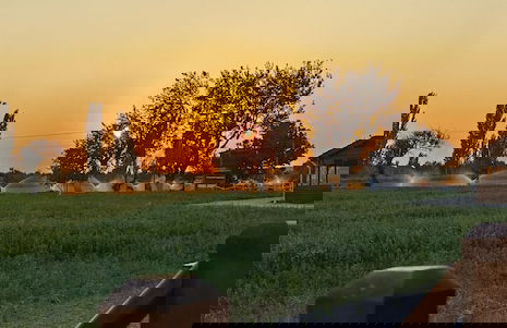 Ayvalık Sural Çiftliği Since 1899 - Foto 37