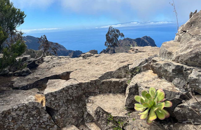 Senderismo por el interior del Parque Rural de Teno - Foto 21